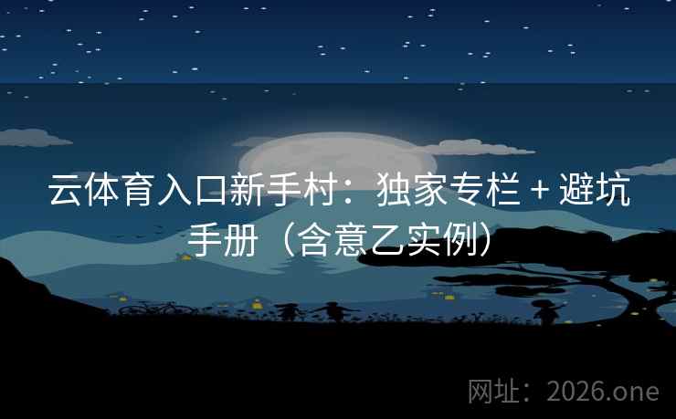 云体育入口新手村：独家专栏 + 避坑手册（含意乙实例）  第2张