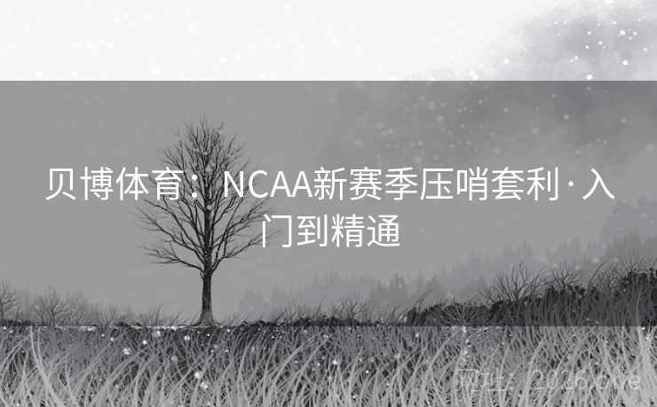 贝博体育：NCAA新赛季压哨套利·入门到精通  第2张