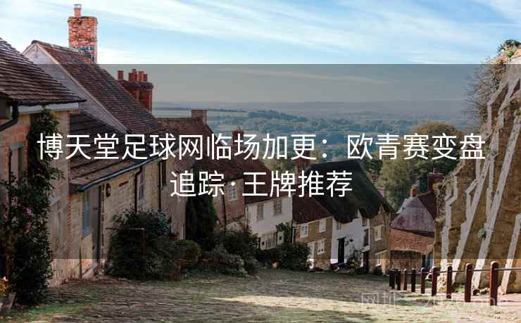 博天堂足球网临场加更：欧青赛变盘追踪·王牌推荐  第2张