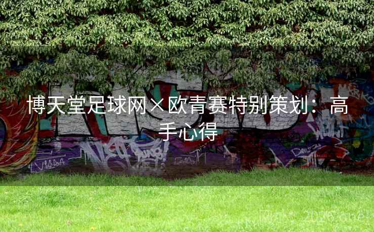 博天堂足球网×欧青赛特别策划：高手心得  第2张