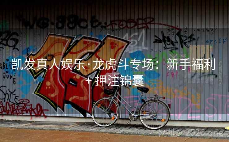 凯发真人娱乐·龙虎斗专场：新手福利 + 押注锦囊