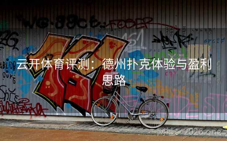 云开体育评测：德州扑克体验与盈利思路